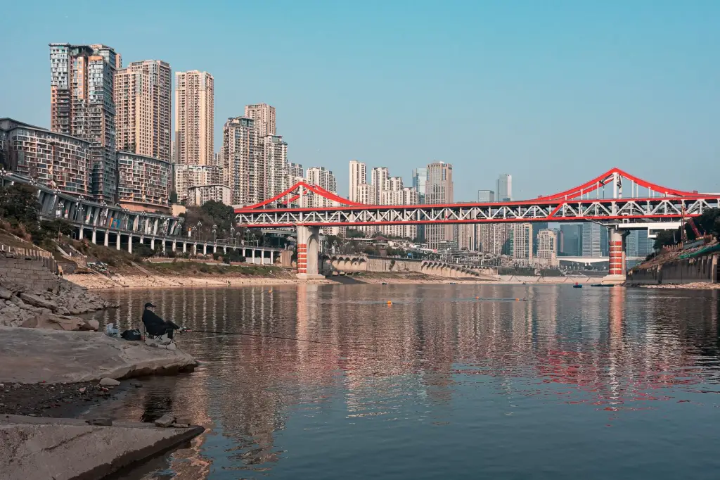游戏引擎软件光盘选购指南:适配不同开发阶段的资源制作软件推荐