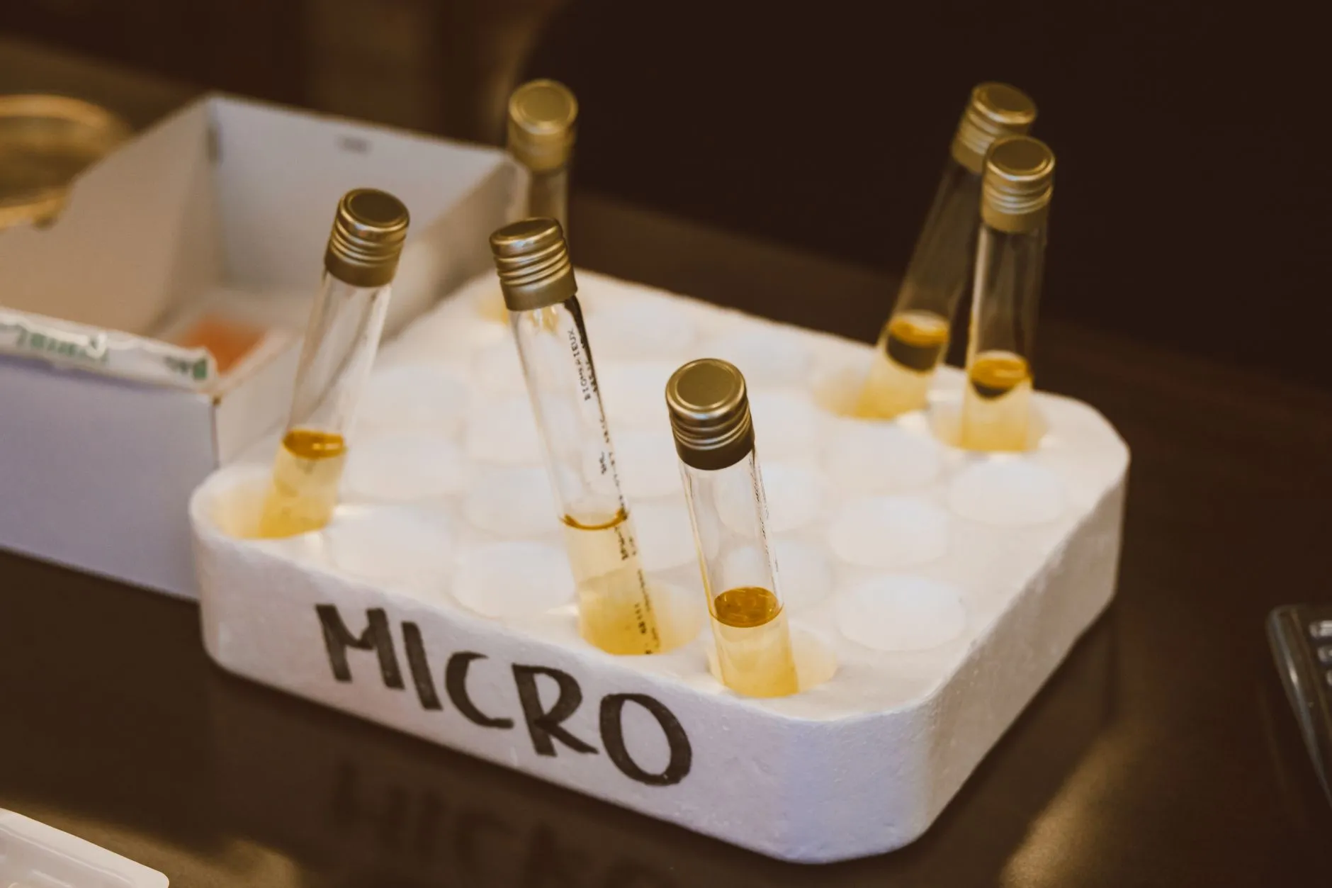 游戏引擎软件光盘在独立游戏开发中的技术选型与优化策略